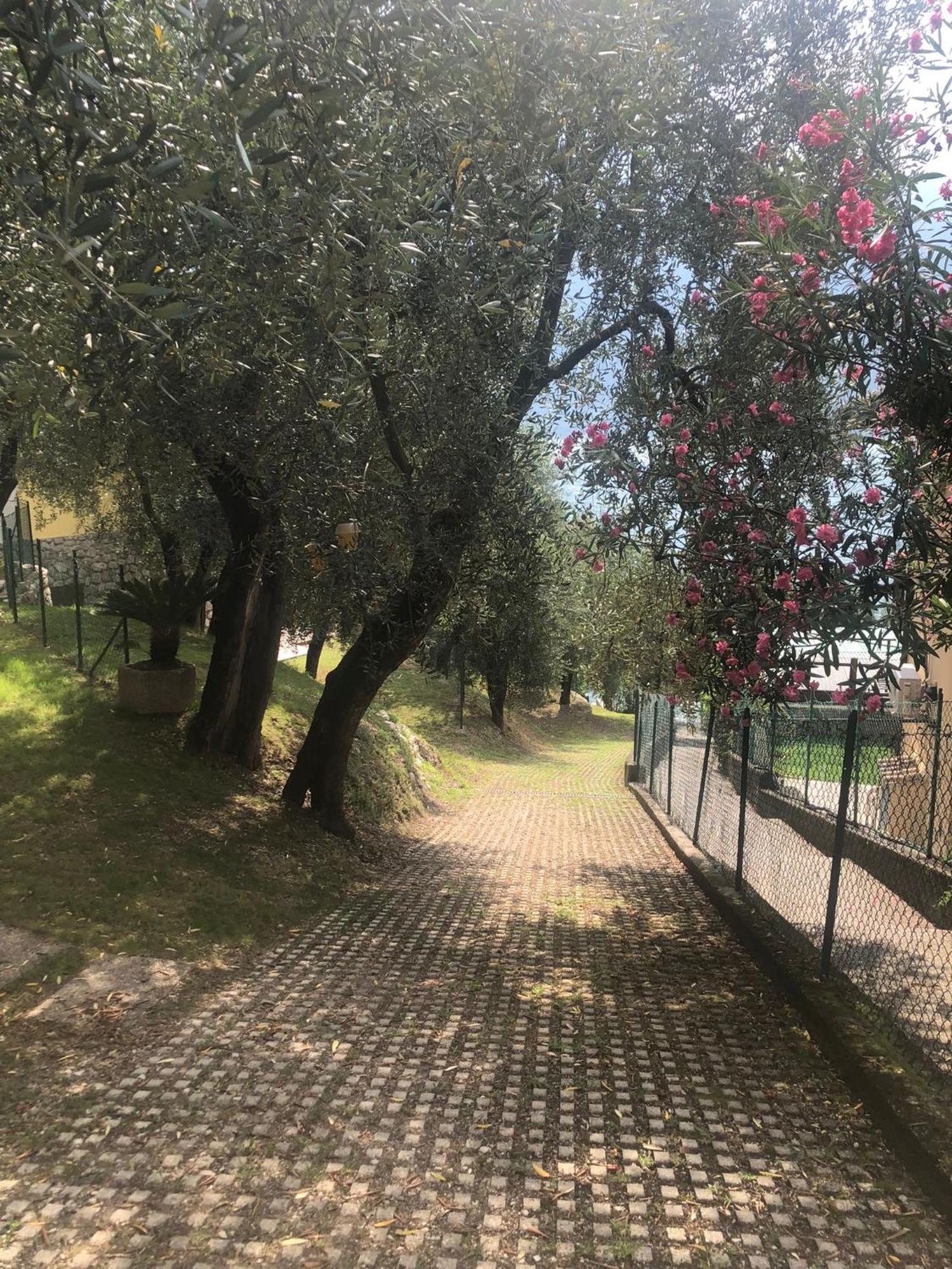 La Casa Sul Lago Apartments - Olive Tree Apartment ลีโมเนซุลการ์ดา ภายนอก รูปภาพ